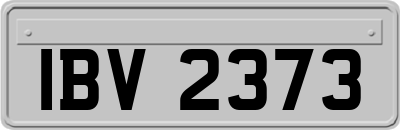 IBV2373