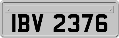 IBV2376