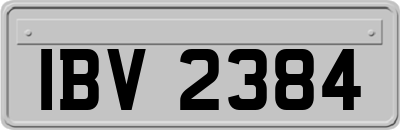 IBV2384