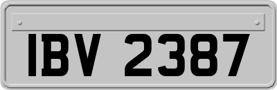 IBV2387