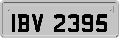 IBV2395