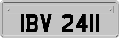 IBV2411