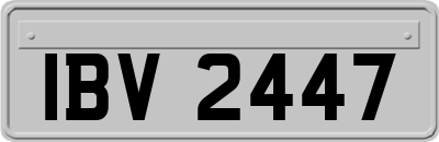 IBV2447