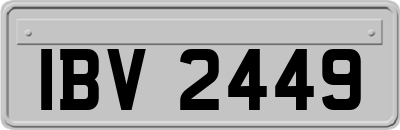 IBV2449