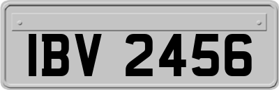 IBV2456