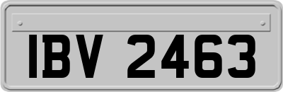 IBV2463