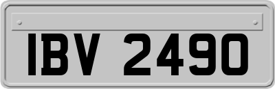 IBV2490