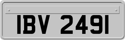 IBV2491