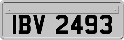 IBV2493
