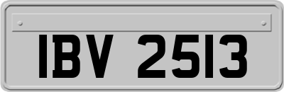 IBV2513
