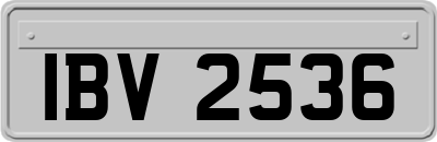 IBV2536