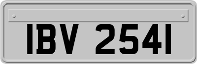 IBV2541