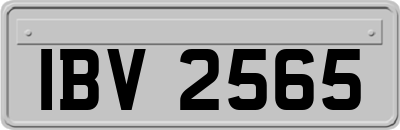 IBV2565