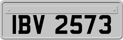 IBV2573