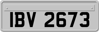 IBV2673