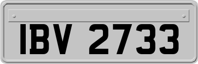 IBV2733