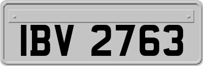 IBV2763