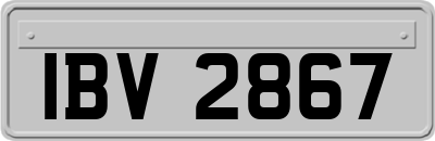 IBV2867