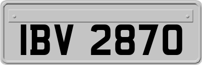 IBV2870