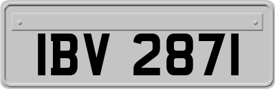 IBV2871