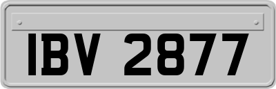 IBV2877