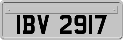 IBV2917