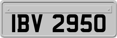 IBV2950