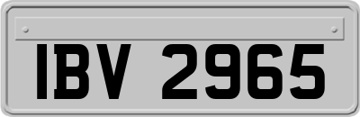 IBV2965