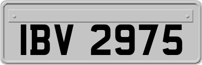 IBV2975