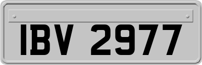 IBV2977