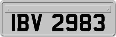 IBV2983