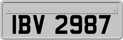 IBV2987