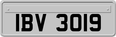 IBV3019