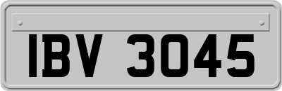 IBV3045