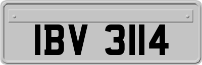 IBV3114