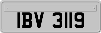 IBV3119