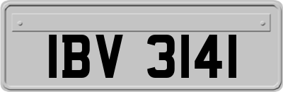 IBV3141