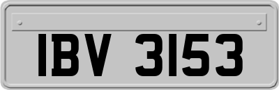 IBV3153