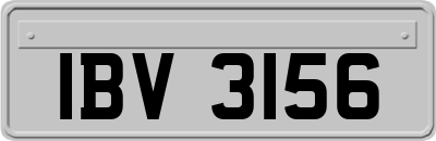 IBV3156