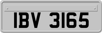 IBV3165