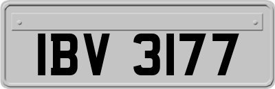 IBV3177