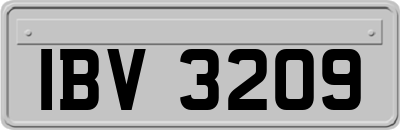 IBV3209