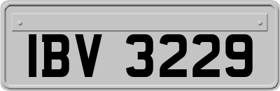 IBV3229