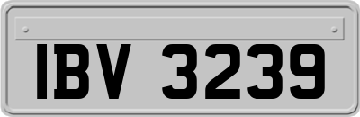 IBV3239
