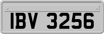 IBV3256