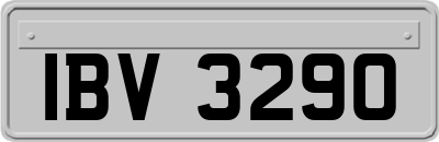IBV3290