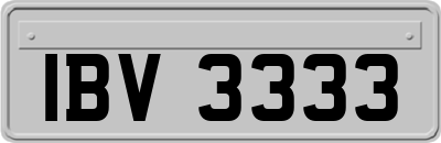IBV3333