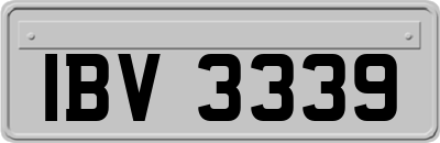 IBV3339