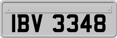 IBV3348