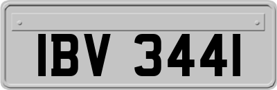 IBV3441